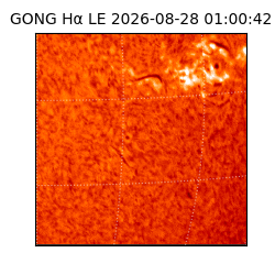 gong - 2026-08-28T01:00:42