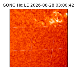 gong - 2026-08-28T03:00:42
