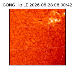 gong - 2026-08-28T08:00:42