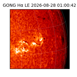 gong - 2026-08-28T01:00:42