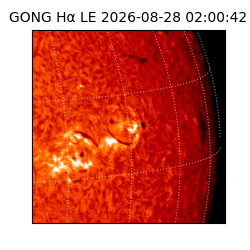 gong - 2026-08-28T02:00:42