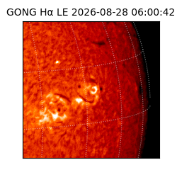 gong - 2026-08-28T06:00:42