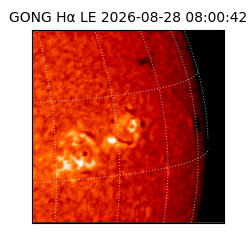 gong - 2026-08-28T08:00:42