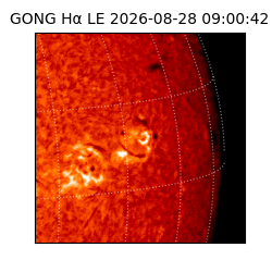 gong - 2026-08-28T09:00:42