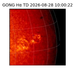 gong - 2026-08-28T10:00:22