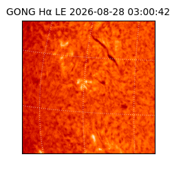 gong - 2026-08-28T03:00:42