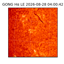 gong - 2026-08-28T04:00:42