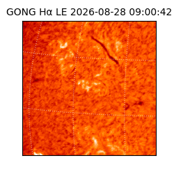gong - 2026-08-28T09:00:42