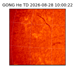 gong - 2026-08-28T10:00:22