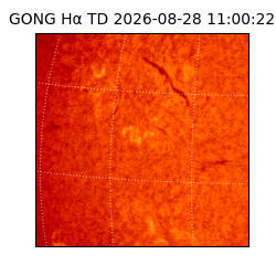 gong - 2026-08-28T11:00:22