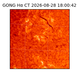 gong - 2026-08-28T18:00:42