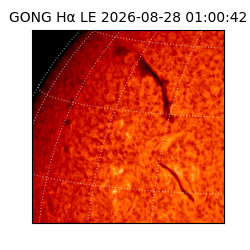 gong - 2026-08-28T01:00:42