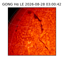 gong - 2026-08-28T03:00:42