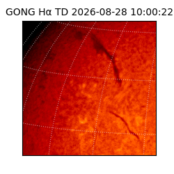 gong - 2026-08-28T10:00:22
