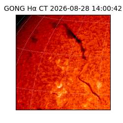 gong - 2026-08-28T14:00:42