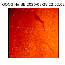 gong - 2026-08-28T22:02:02