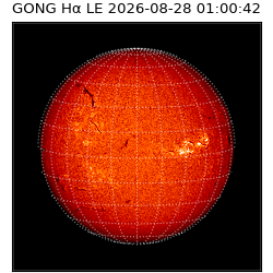 gong - 2026-08-28T01:00:42