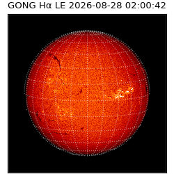 gong - 2026-08-28T02:00:42