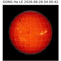 gong - 2026-08-28T04:00:42