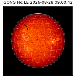 gong - 2026-08-28T09:00:42