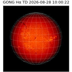 gong - 2026-08-28T10:00:22