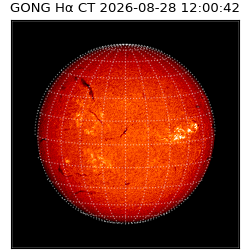 gong - 2026-08-28T12:00:42