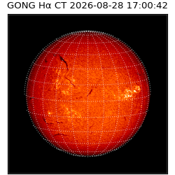 gong - 2026-08-28T17:00:42