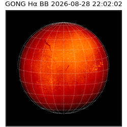 gong - 2026-08-28T22:02:02