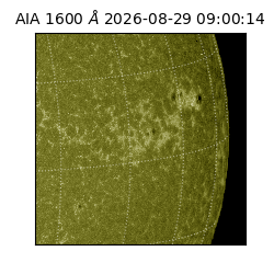 saia - 2026-08-29T09:00:14.120000