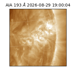 saia - 2026-08-29T19:00:04.840000