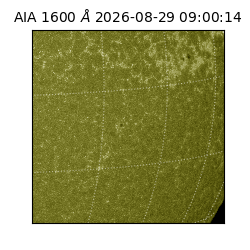 saia - 2026-08-29T09:00:14.120000