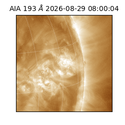 saia - 2026-08-29T08:00:04.840000