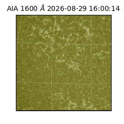 saia - 2026-08-29T16:00:14.130000