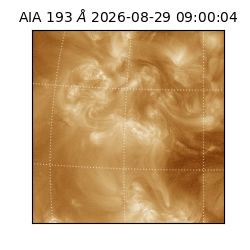 saia - 2026-08-29T09:00:04.840000