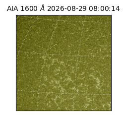 saia - 2026-08-29T08:00:14.130000