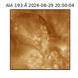 saia - 2026-08-29T20:00:04.840000
