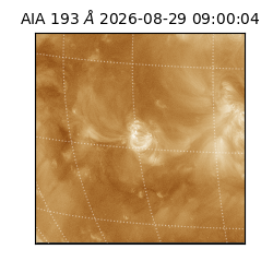 saia - 2026-08-29T09:00:04.840000