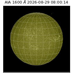 saia - 2026-08-29T08:00:14.130000