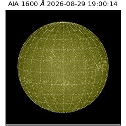 saia - 2026-08-29T19:00:14.120000