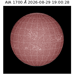 saia - 2026-08-29T19:00:28.720000