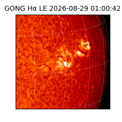 gong - 2026-08-29T01:00:42