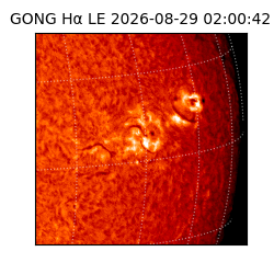 gong - 2026-08-29T02:00:42