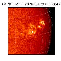gong - 2026-08-29T05:00:42