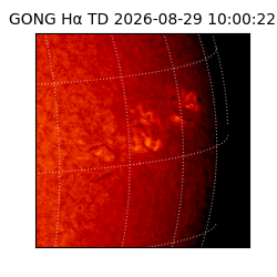 gong - 2026-08-29T10:00:22