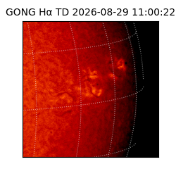 gong - 2026-08-29T11:00:22
