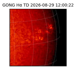 gong - 2026-08-29T12:00:22
