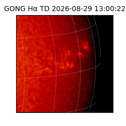 gong - 2026-08-29T13:00:22