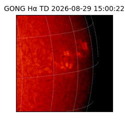 gong - 2026-08-29T15:00:22