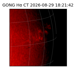 gong - 2026-08-29T18:21:42