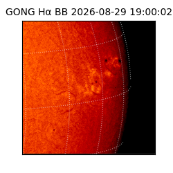 gong - 2026-08-29T19:00:02